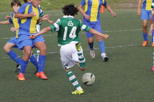 乐鱼体育直播-卡尔多索主场逆转佛罗伦萨，底蕴实力得到肯定