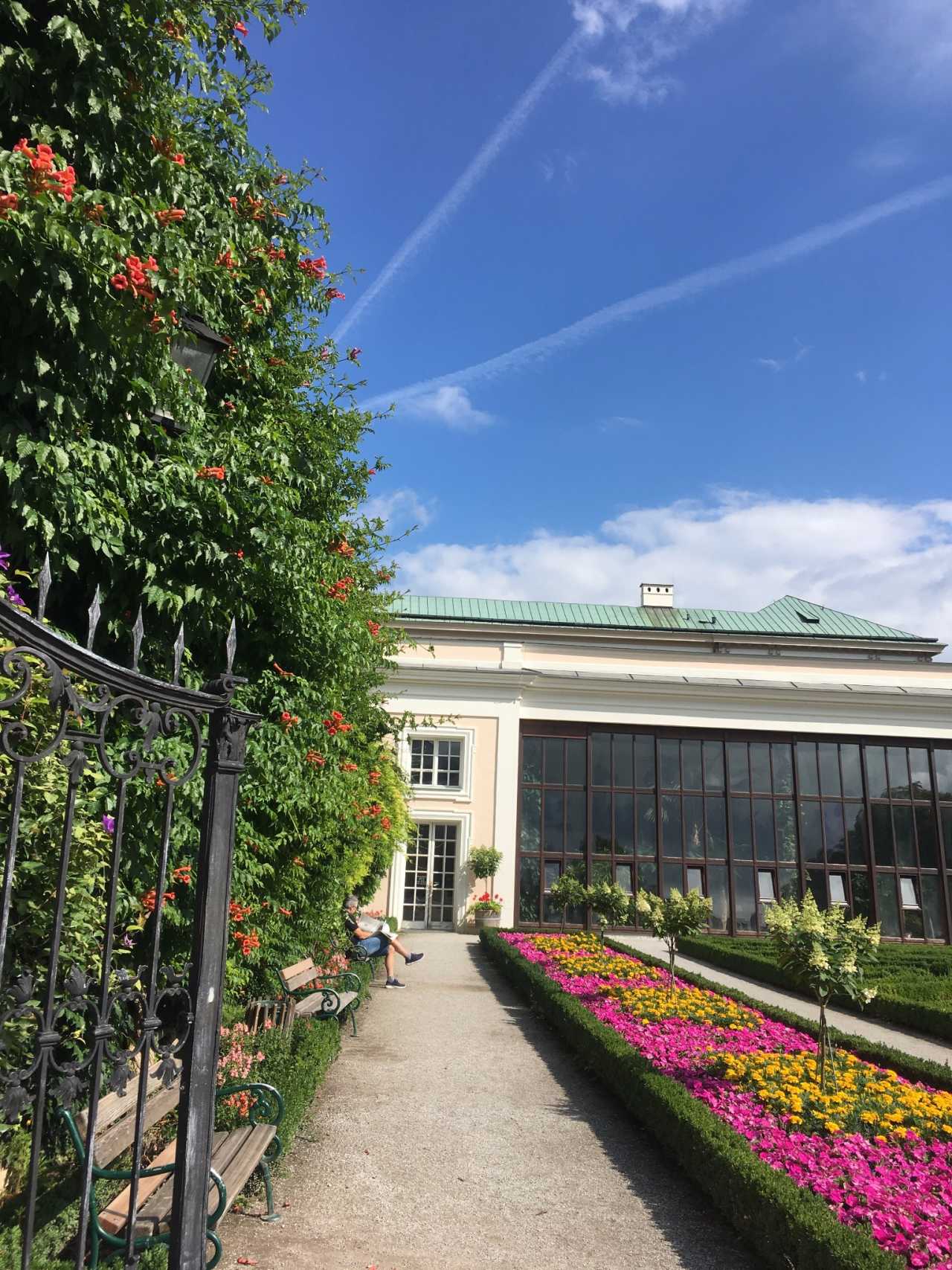 捷克小胜斯洛伐克，晋级前景一片光明的简单介绍